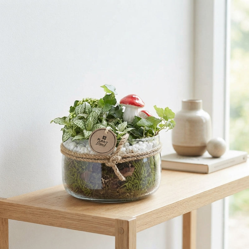 Orange and White Plant Arrangement with Rope Bowl – 18cm