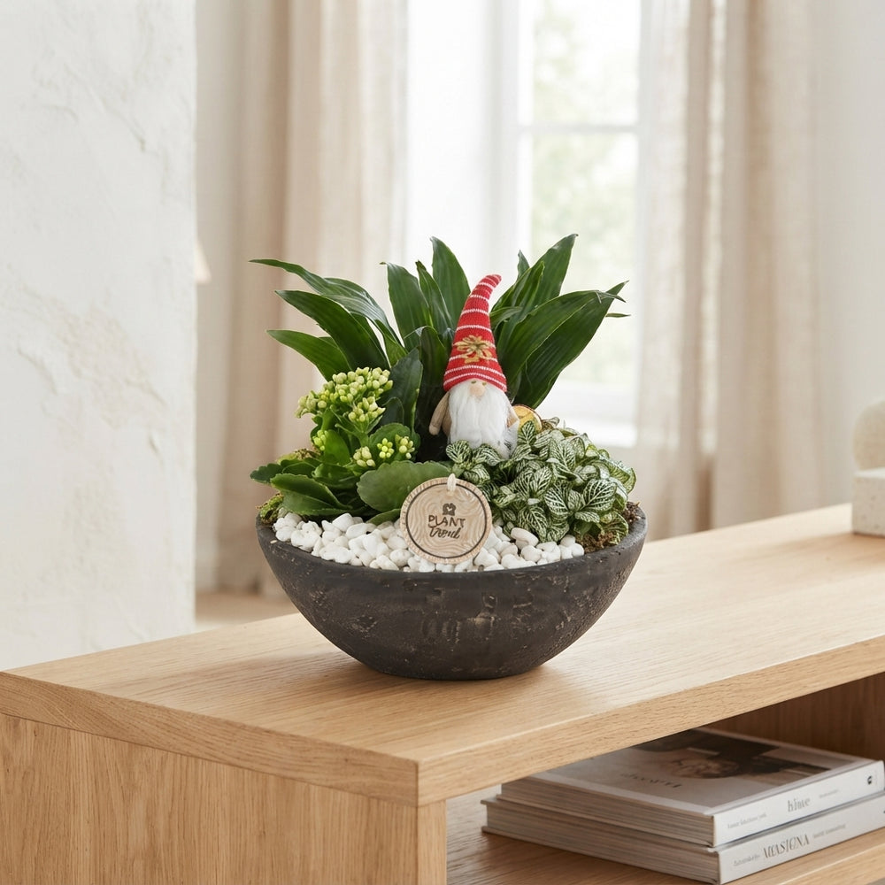 Orange and White Plant Arrangement – 22cm Ceramic Pot