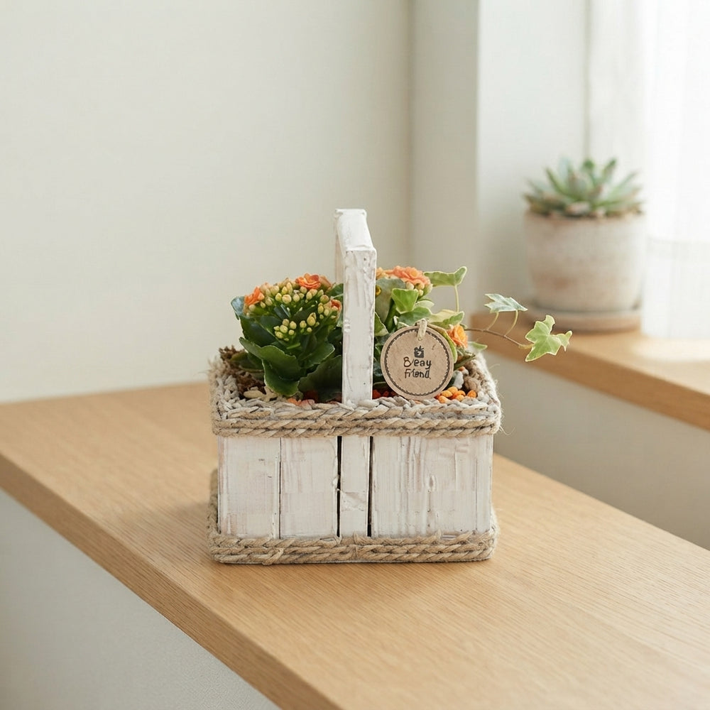 Orange and White Hanging Basket Arrangement – 20cm