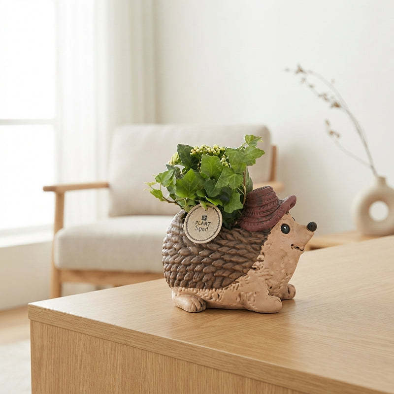 Indoor Plant Arrangement in Ceramic Hedgehog Pot – 20cm