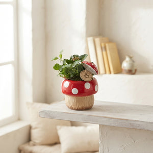 Indoor Mushroom Arrangement – 15cm Ceramic Pot