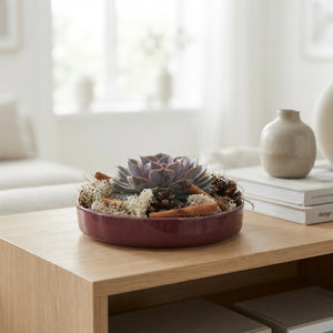 Burgundy Red Echeveria Arrangement – 20cm Ceramic Bowl