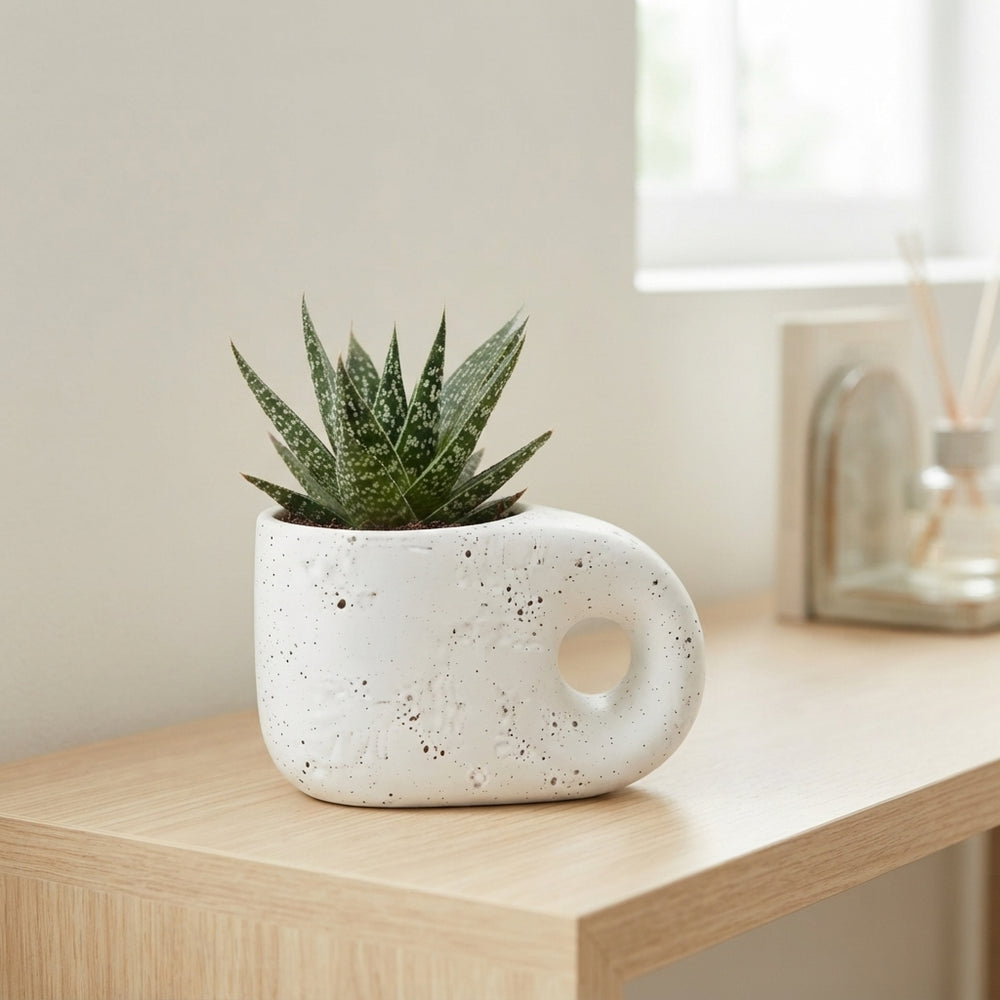 Truly Succulent Arrangement in Modern Pebble Pot – 15cm