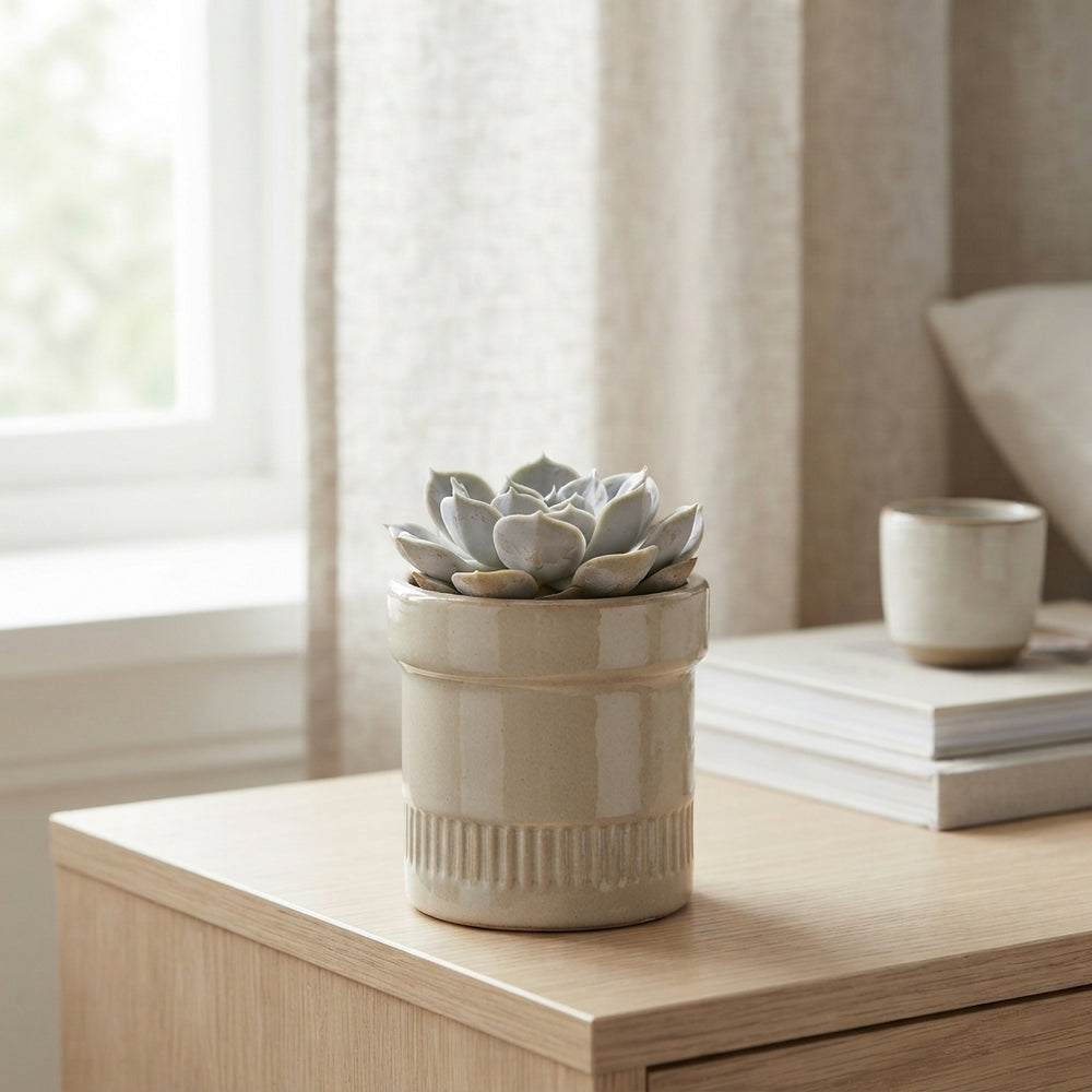 Truly Succulent Arrangement – 11cm Kiva Pot