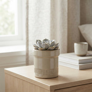 Truly Succulent Arrangement – 11cm Kiva Pot