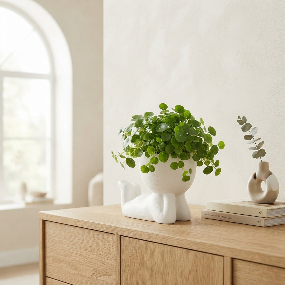 Pilea ‘Lazy Dude’ Arrangement – 14cm Ceramic Pot