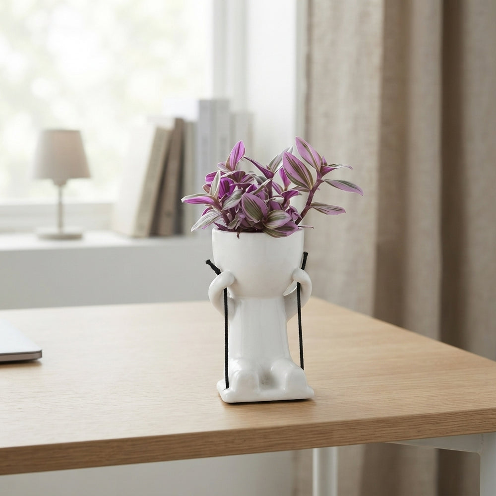 Lazy Swing Plant Arrangement – 14cm Ceramic Pot