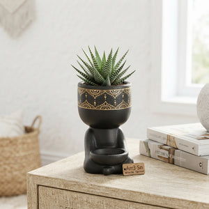 Haworthia ‘Spiritual Guy’ Arrangement – 14cm Ceramic Pot