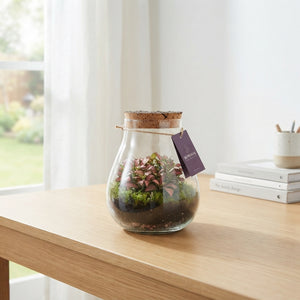Halley Medium Glass Terrarium Arrangement – 16cm
