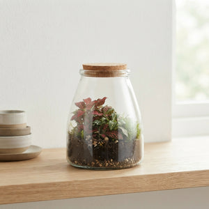 Glass Terrarium Arrangement – 9cm