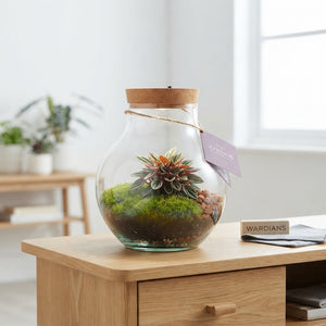 Venus Flytrap Terrarium with Rechargeable LED Light – 20cm