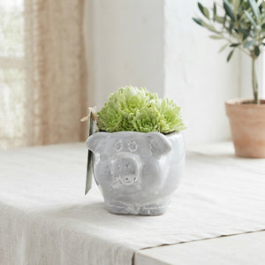 Piggy Ceramic Plant Arrangement – 12cm Pot