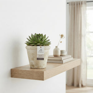 Mixed Plant Arrangement in Stone Pot – 11cm