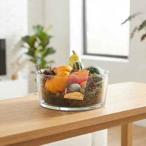 Sacramento Decorative Arrangement – 20cm Glass Bowl