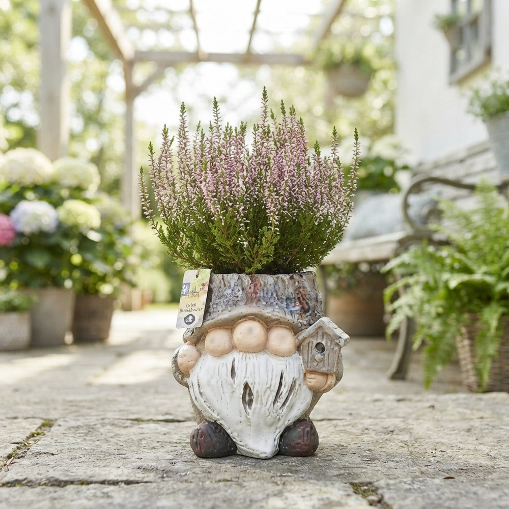Outdoor Arrangement with Ceramic Forest Gnome – 20cm Pot