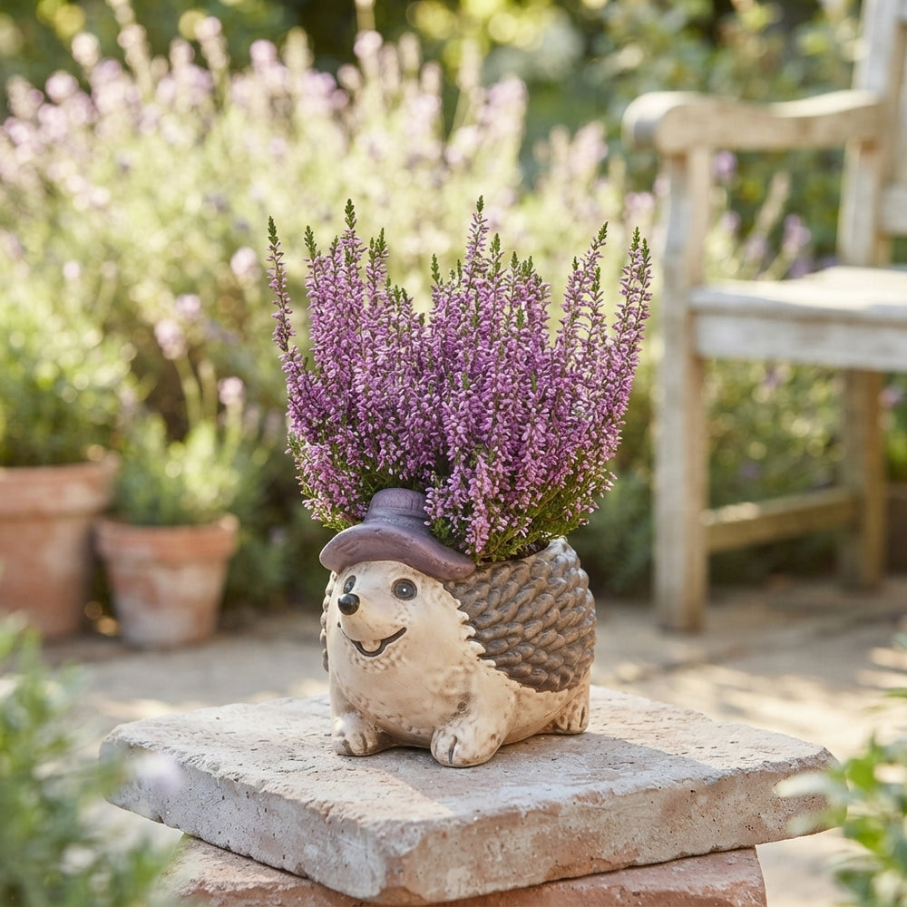 Outdoor Ceramic Hedgehog Heather Arrangement – 20cm Pot