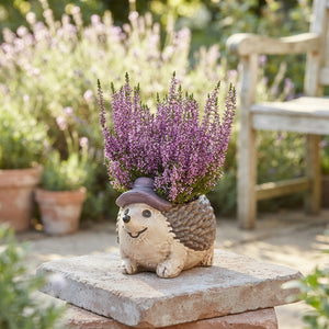 Outdoor Ceramic Hedgehog Heather Arrangement – 20cm Pot