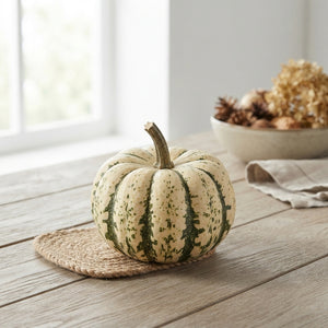 Mixed Ornamental Mini Pumpkins – Pack of 10