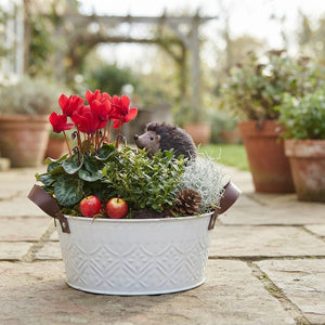 Outdoor Arrangement in White Zinc Planter – 25cm