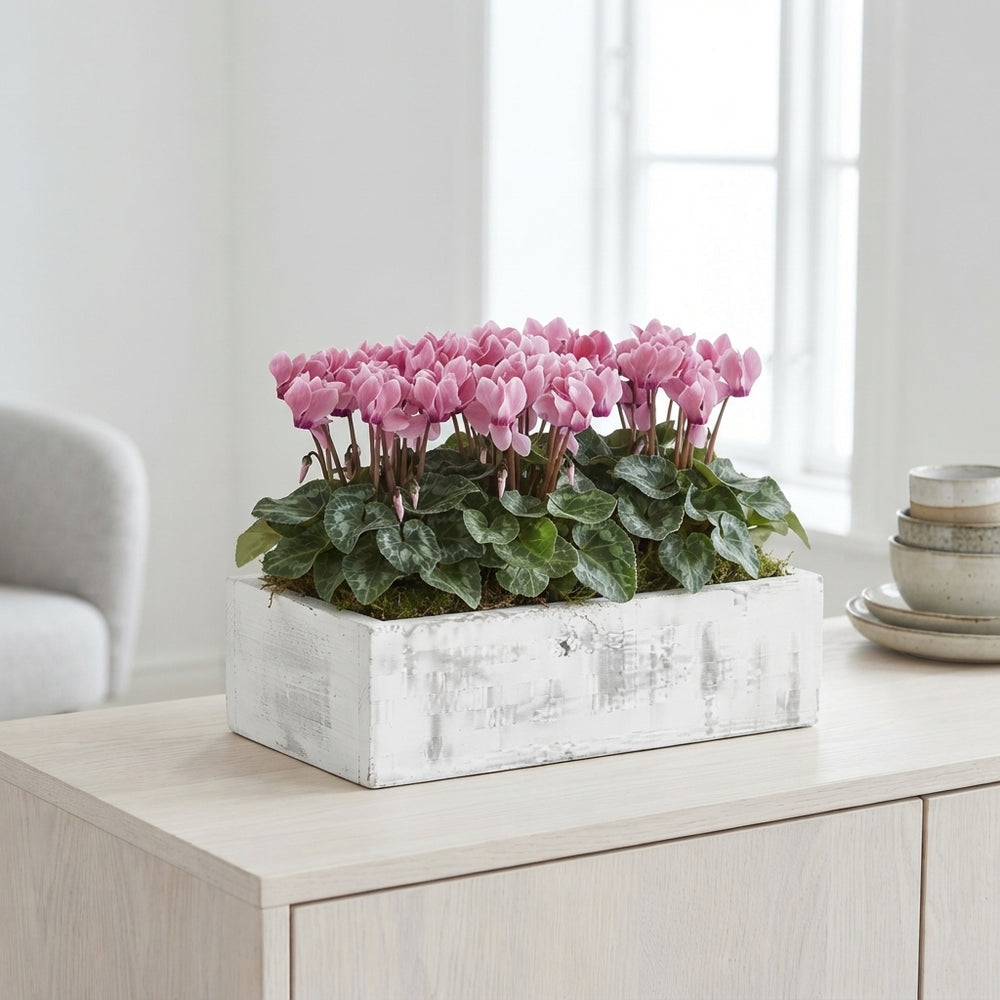 Outdoor Plant Arrangement in Whitewashed Wooden Box – 39cm