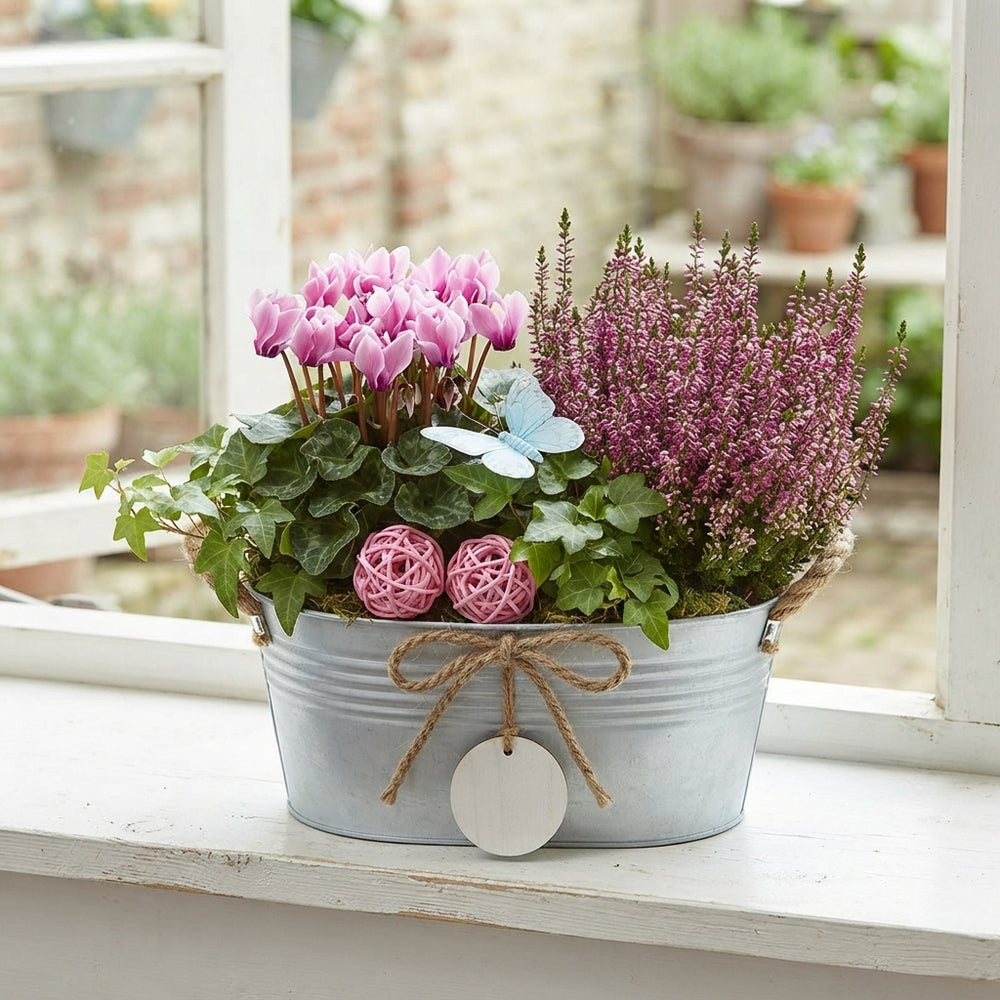Garden Plant Arrangement – 22cm Zinc Pot