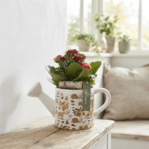 Autumn Mix Ceramic Watering Can Arrangement – 25cm