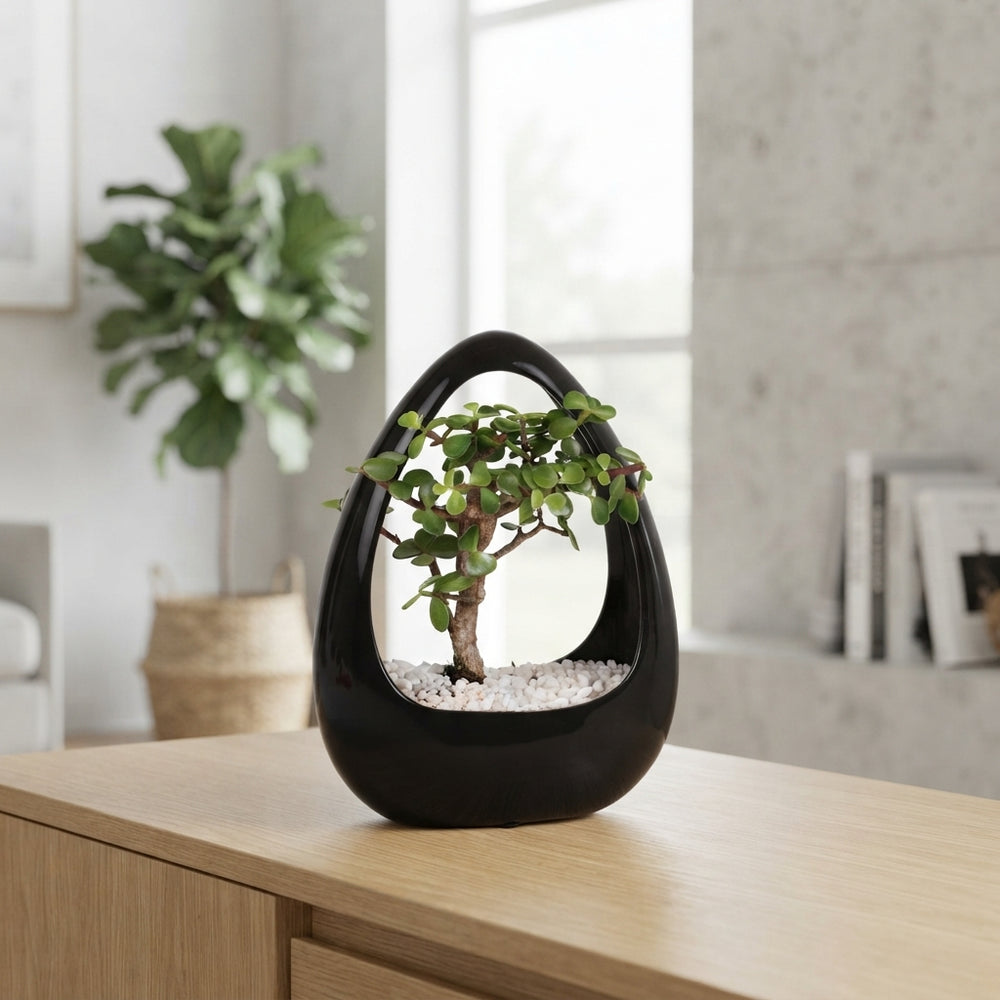Indoor Bonsai in Black Ceramic Ikebana Pot – 19cm