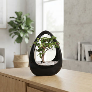 Indoor Bonsai in Black Ceramic Ikebana Pot – 19cm