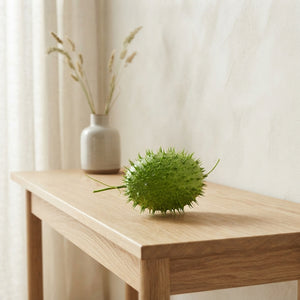 Ornamental Green Cucumis Fruit Display