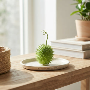 Ornamental Green Cucumis Fruit Decoration