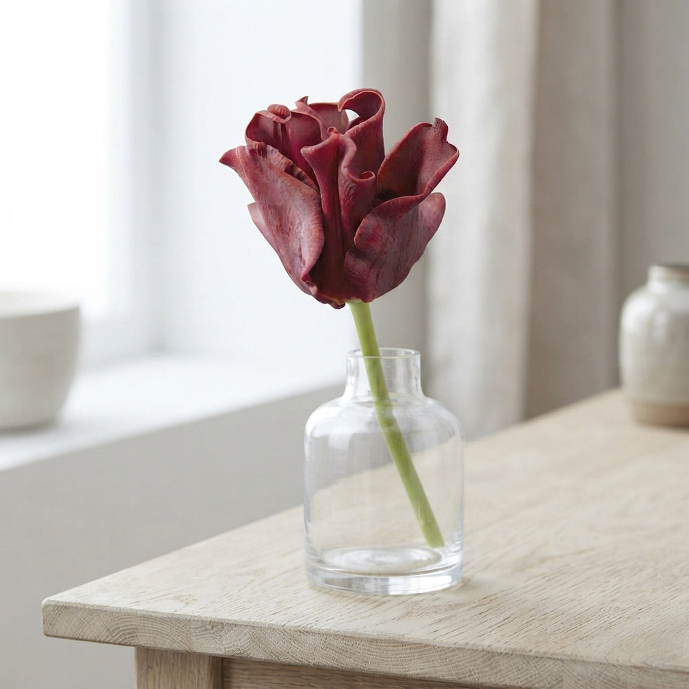 Tulipa ‘Crown Red Dress’ Tulip Bulbs – 7 Bulbs