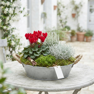 Outdoor Plant Arrangement in Zinc Dish – 33cm