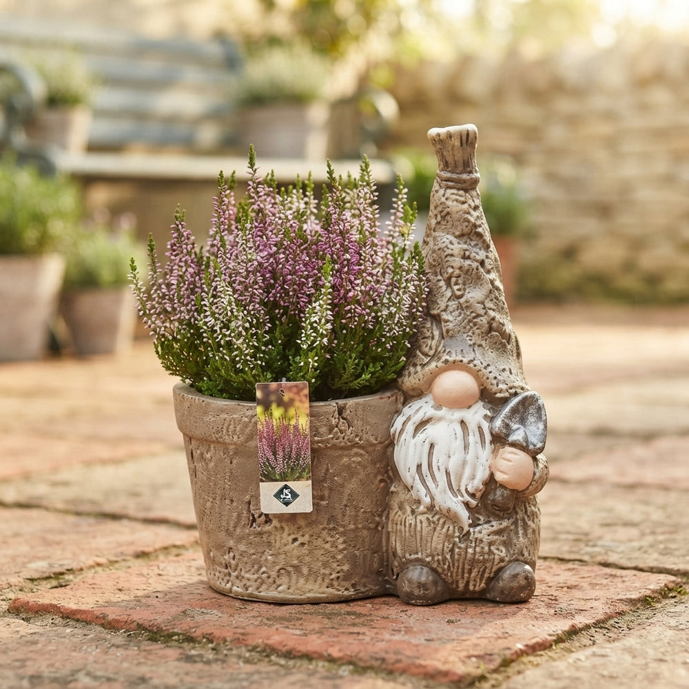 Outdoor Plant Arrangement with Brown Gnome and Basket – 27cm