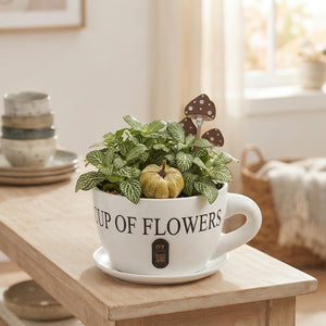 Autumn Plant Arrangement in Ceramic Cup and Saucer – 24cm