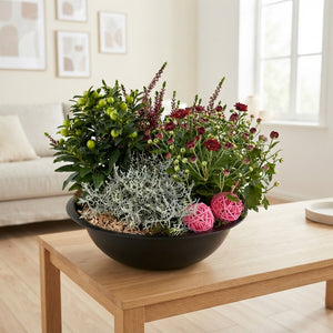 Mixed Plant Arrangement in Black Zinc Bowl