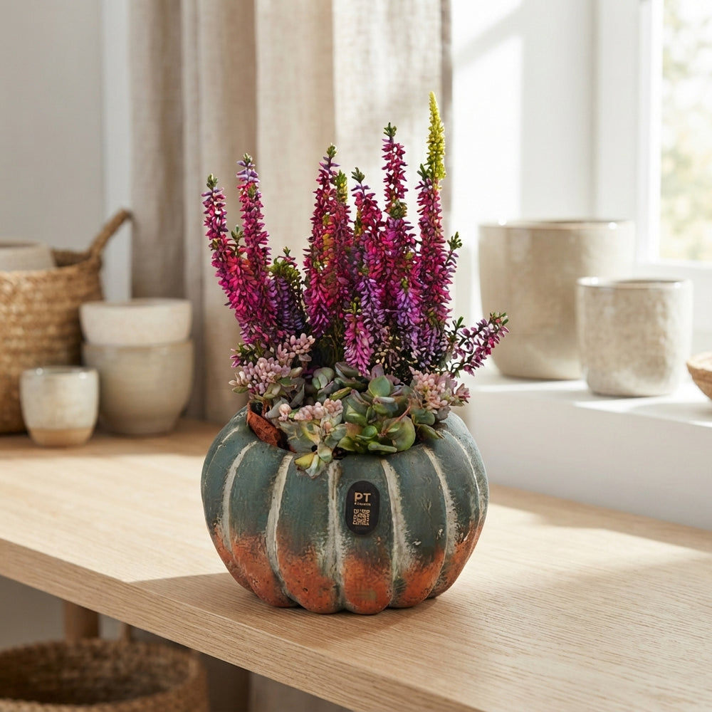 Autumn Outdoor Plant Arrangement – 17cm Concrete Pot