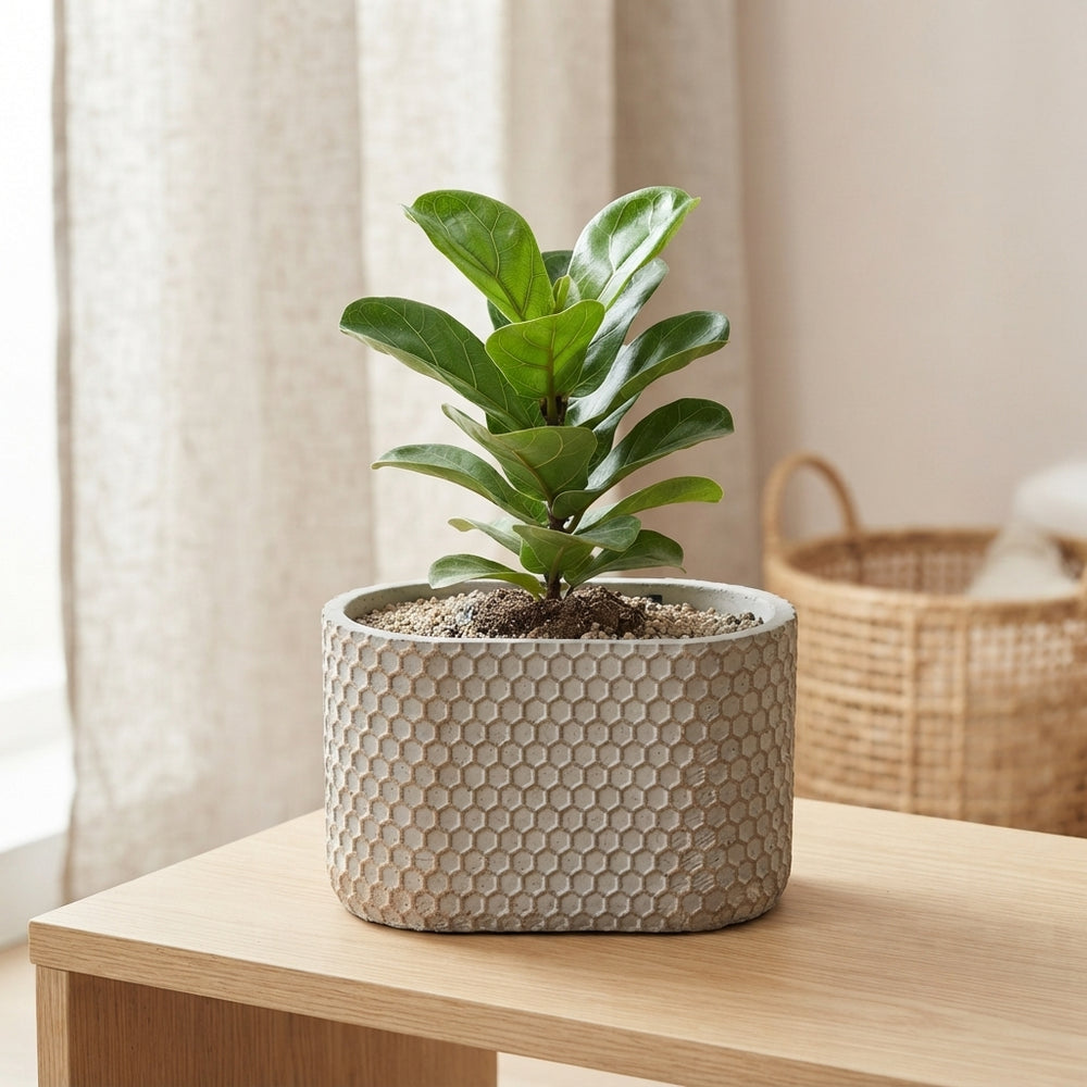 Decorative Concrete Ornamental Pot – 14cm