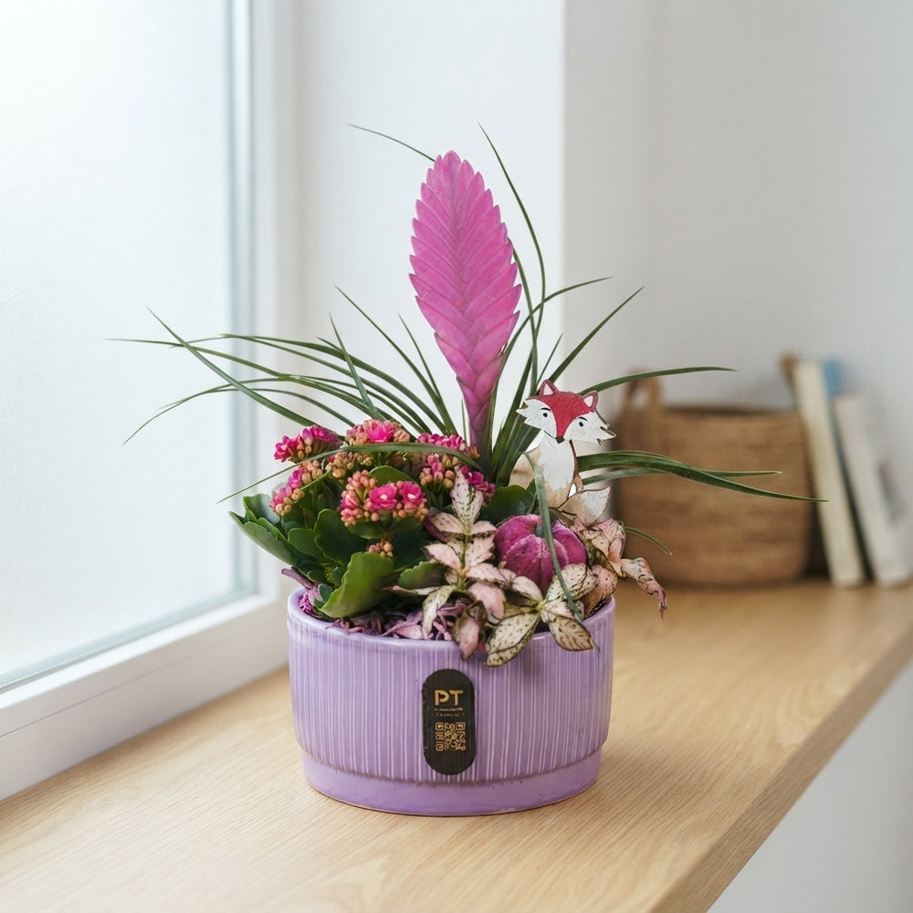 Autumn Plant Arrangement in Ceramic Dish – 16cm Pot