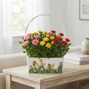 Mixed Colour Hanging Basket Arrangement