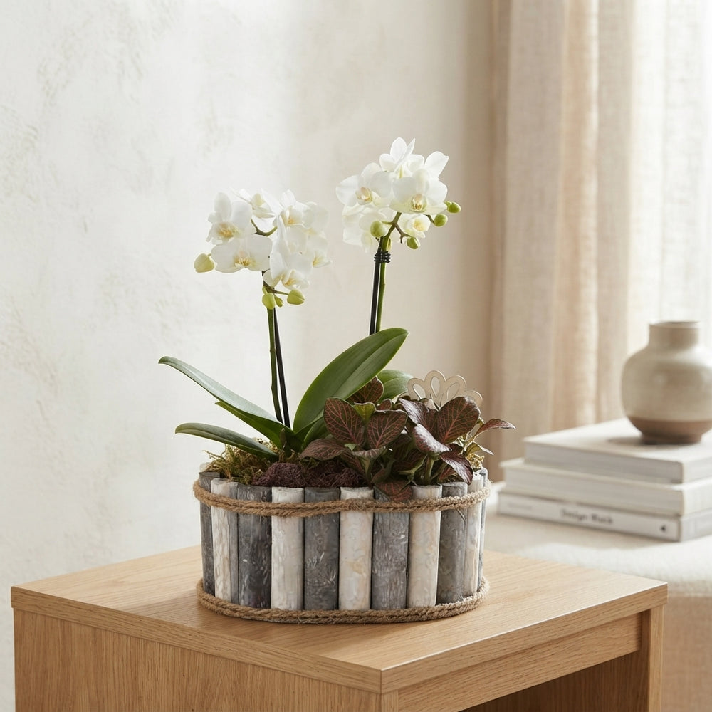 Mixed-Colour Oval Wooden Arrangement