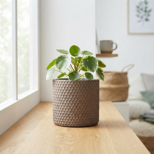 Joyce Honeycomb Concrete Ornamental Pot – 9cm