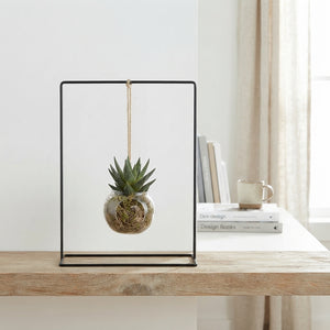 Black Metal Hanging Plant Arrangement – 30cm