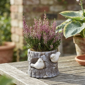 Outdoor Ceramic Arrangement with Decorative Bird Feature – 14cm Pot