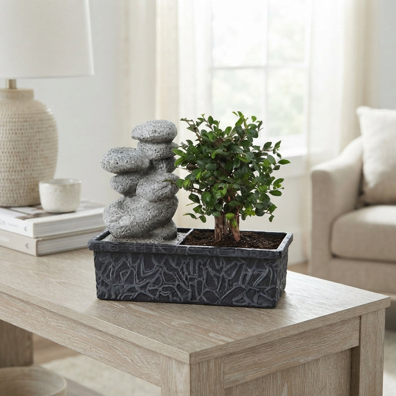 Indoor Waterfall Bonsai – 22cm Pot