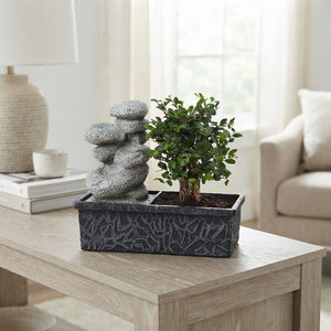 Indoor Waterfall Bonsai – 22cm Pot