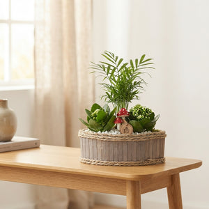 Mixed Plant Arrangement in Wooden Canoe – 30cm