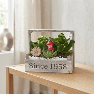 Indoor Plant Arrangement – 23cm Wooden Pot