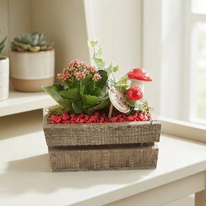 Mixed Plant Arrangement in Brown Rectangular Wooden Pot – 20cm