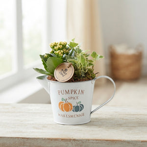 Pumpkin Spice Arrangement in Zinc Pot – 20cm