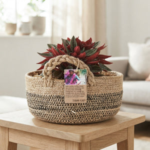 Mixed Plant Arrangement in Jute Basket – 18cm
